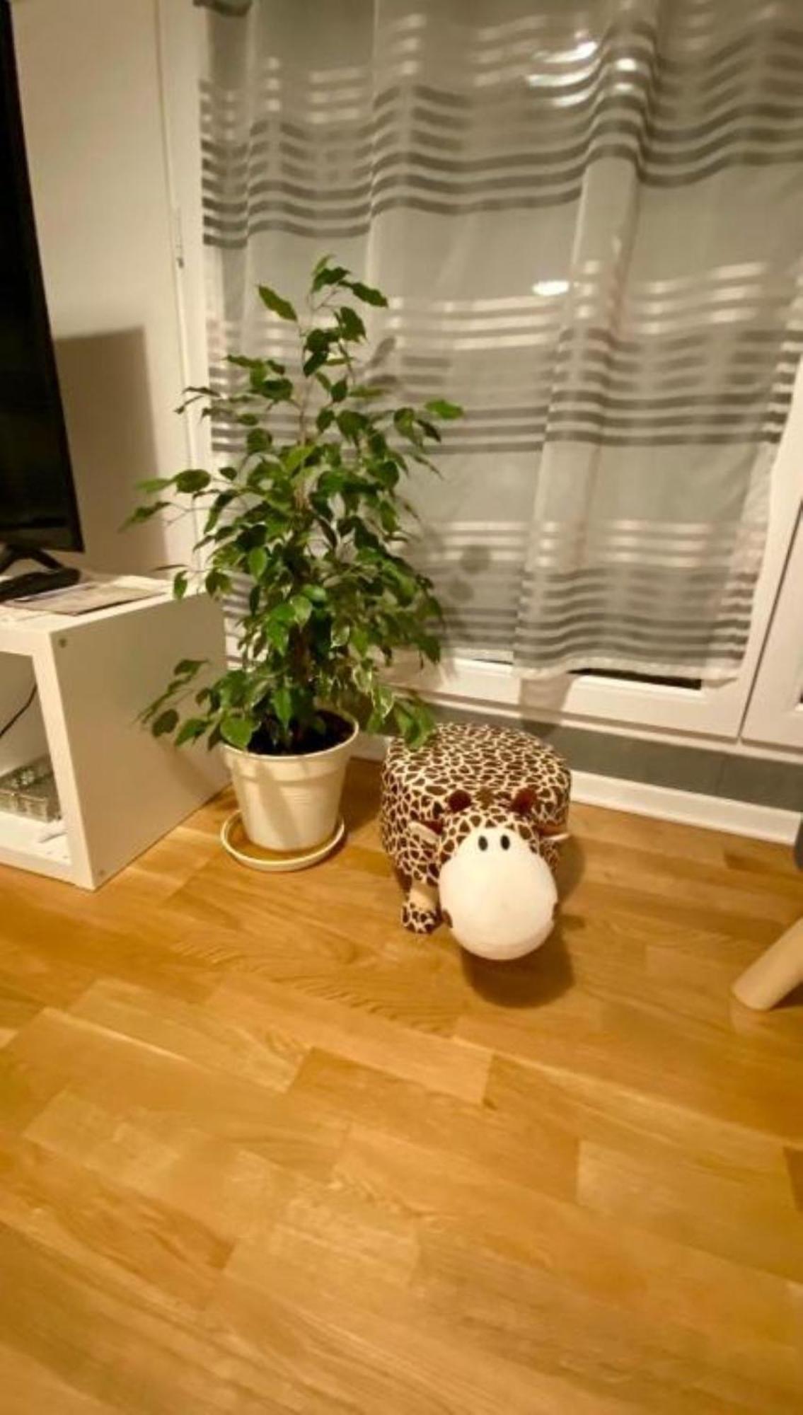 Schoenes Erwachen Im Frankfurter Penthouse Frankfurt am Main Kültér fotó